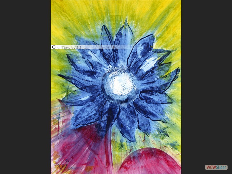 Blaue Sonnenblume