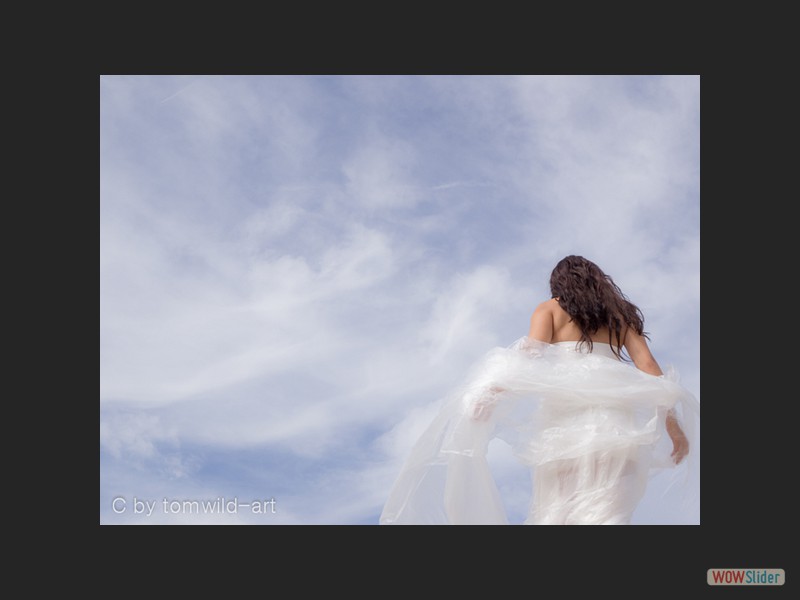 _7265470-Bearbeitet
