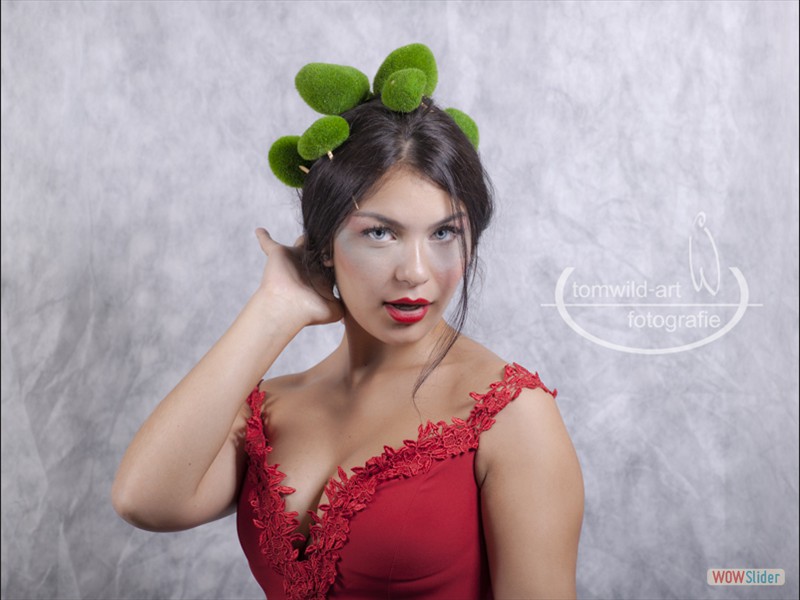 image slider